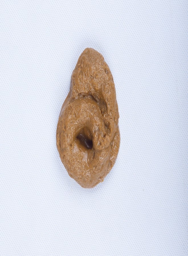 SummitLink Realistic Gross Party Pooper Fake Poo Dog Poop Novelty Toy Brown Birthday Prank Toy Novelty Gift Joke New - Image 2